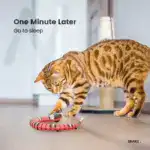 Smart Sensing Snake Electron Interactive Cat Toys - Image 5