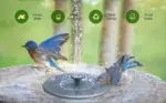 Innovative 2025 Solar Bird Bath Fountain Kit - Image 7