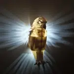 Modern Luminous Lamp_Owl Eagle Projector Lamp