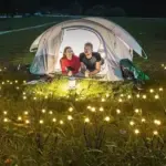 IP65 Waterproof Solar Powered Firefly Light 2025 - Image 4