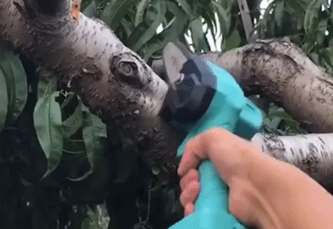 Cordless Chainsaw features